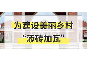給你一個億！為村民建設(shè)一條美麗鄉(xiāng)村，你將如何設(shè)計？